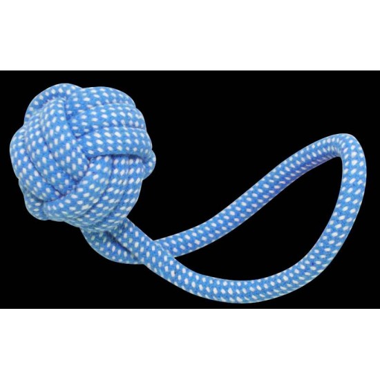 MORDEDOR PET CORDA CLEAN 22CM MC-31