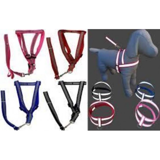 GUIA REFLETIVA COM PEITORAL 1,5 G-02